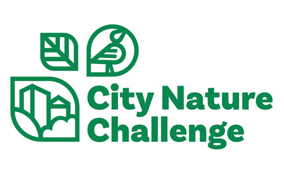 City Nature Challenge 2025 : Participez à l’inventaire express de la biodiversité en Île-de-France !