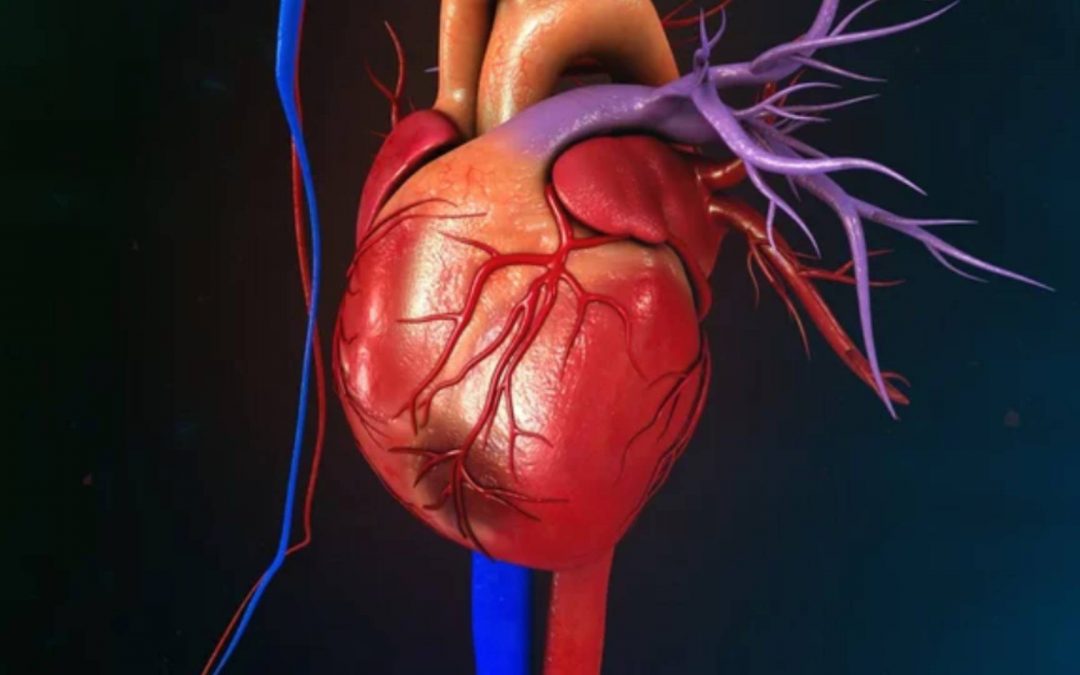 L’insuffisance cardiaque, un facteur de risque indépendant du cancer