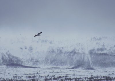 expo_photo_cu_climat_40_1