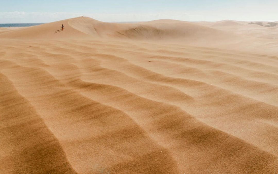 Les mini-dunes de sable livrent enfin leur secret