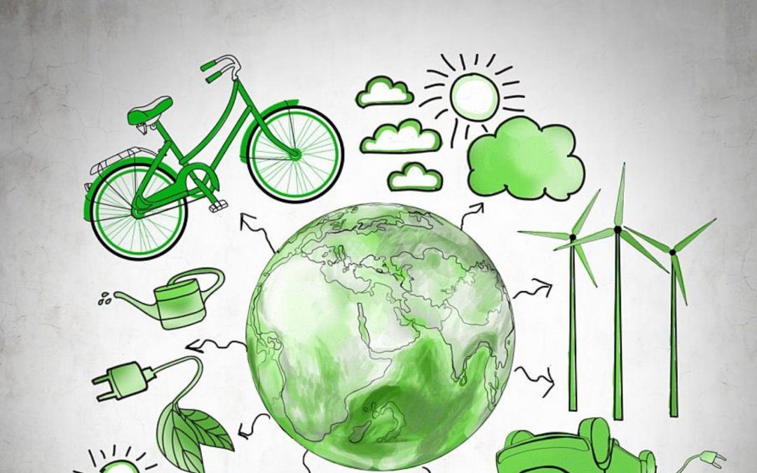 Semaine de la santé planétaire : un engagement collectif du 15 au 20 septembre
2025
