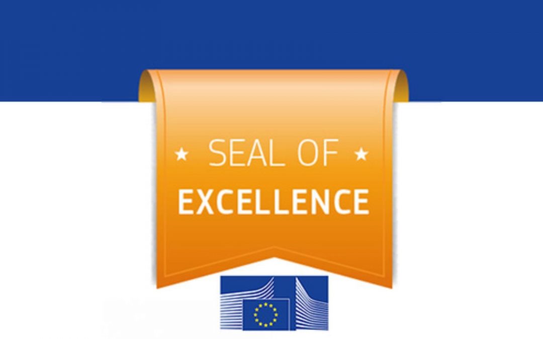 Financement – Label d’excellence – MSCA PF