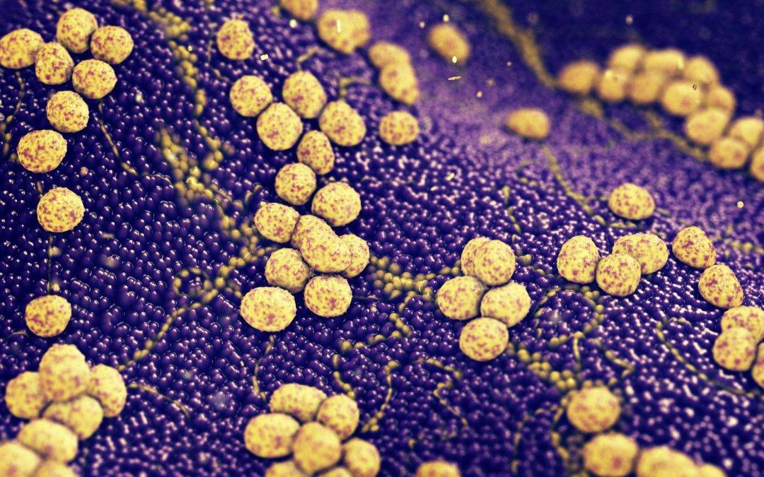 Staphylocoque doré, facteur aggravant d’une maladie rare de la peau chez les enfants