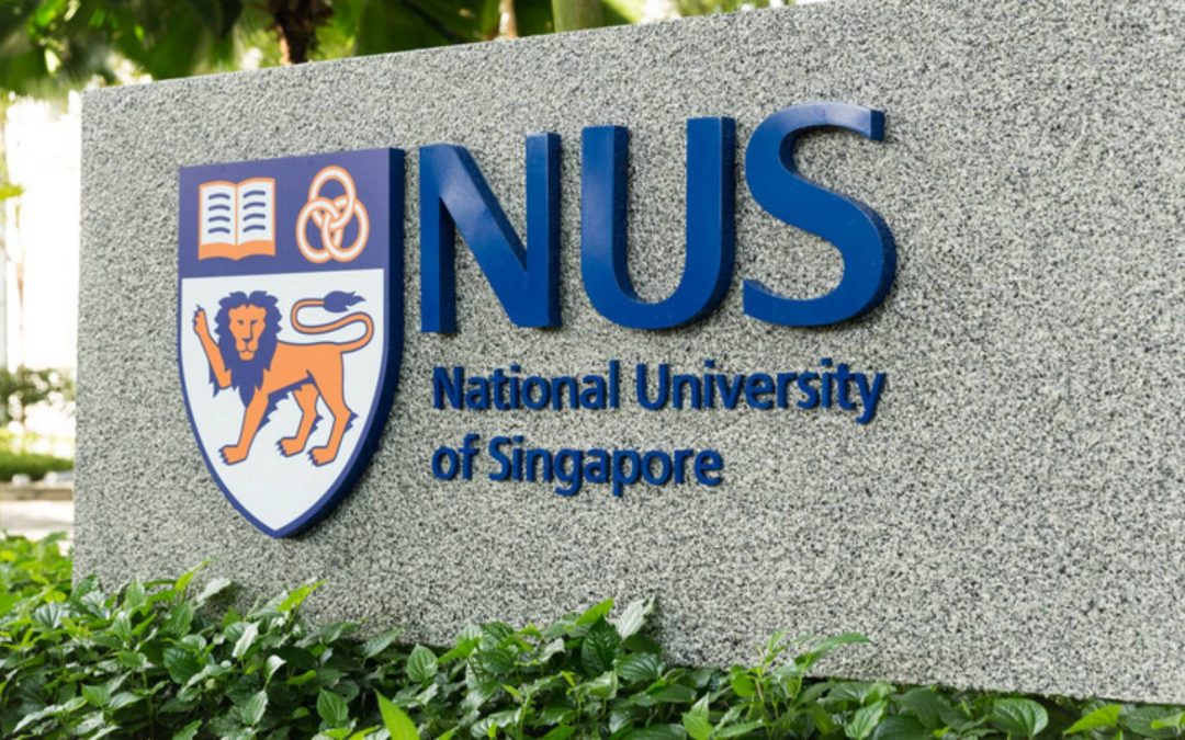 [Paris–NUS] 2026 Call for Proposals