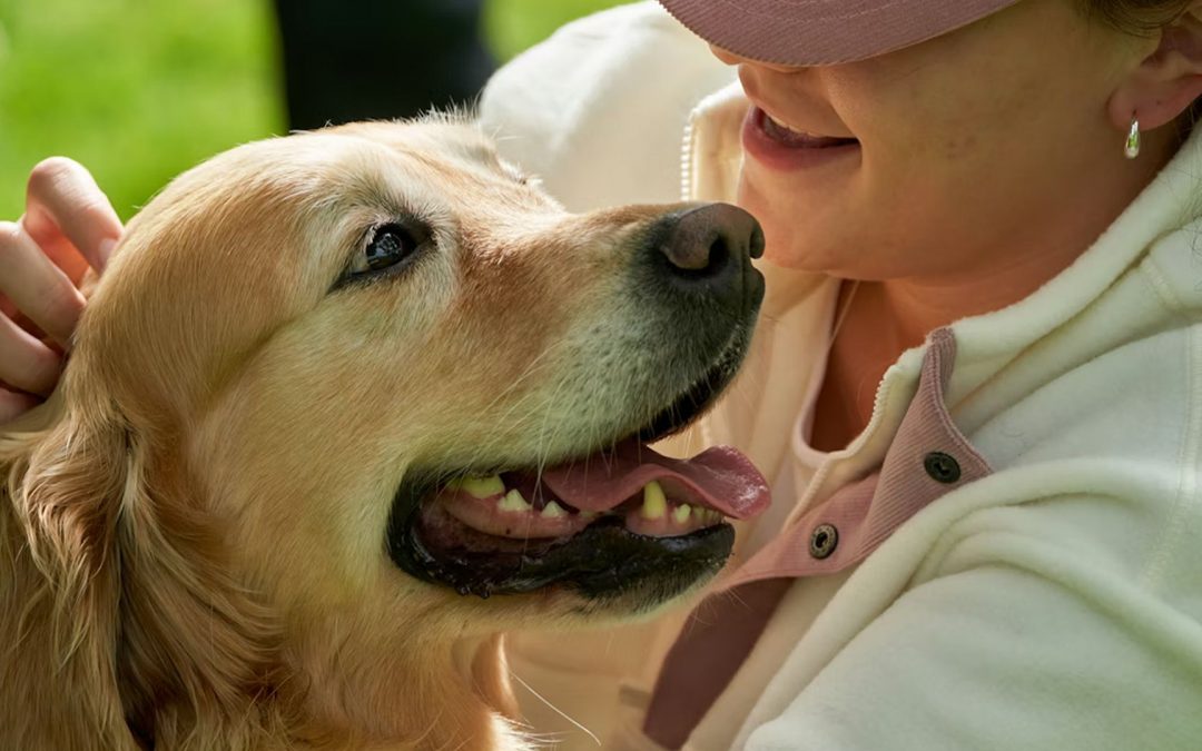 Autisme chez l’enfant : la thérapie assistée par les chiens facilite les soins bucco-dentaires