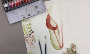 Introduction to naturalistic drawing│Estelle Cruz @ Grands Moulins Campus