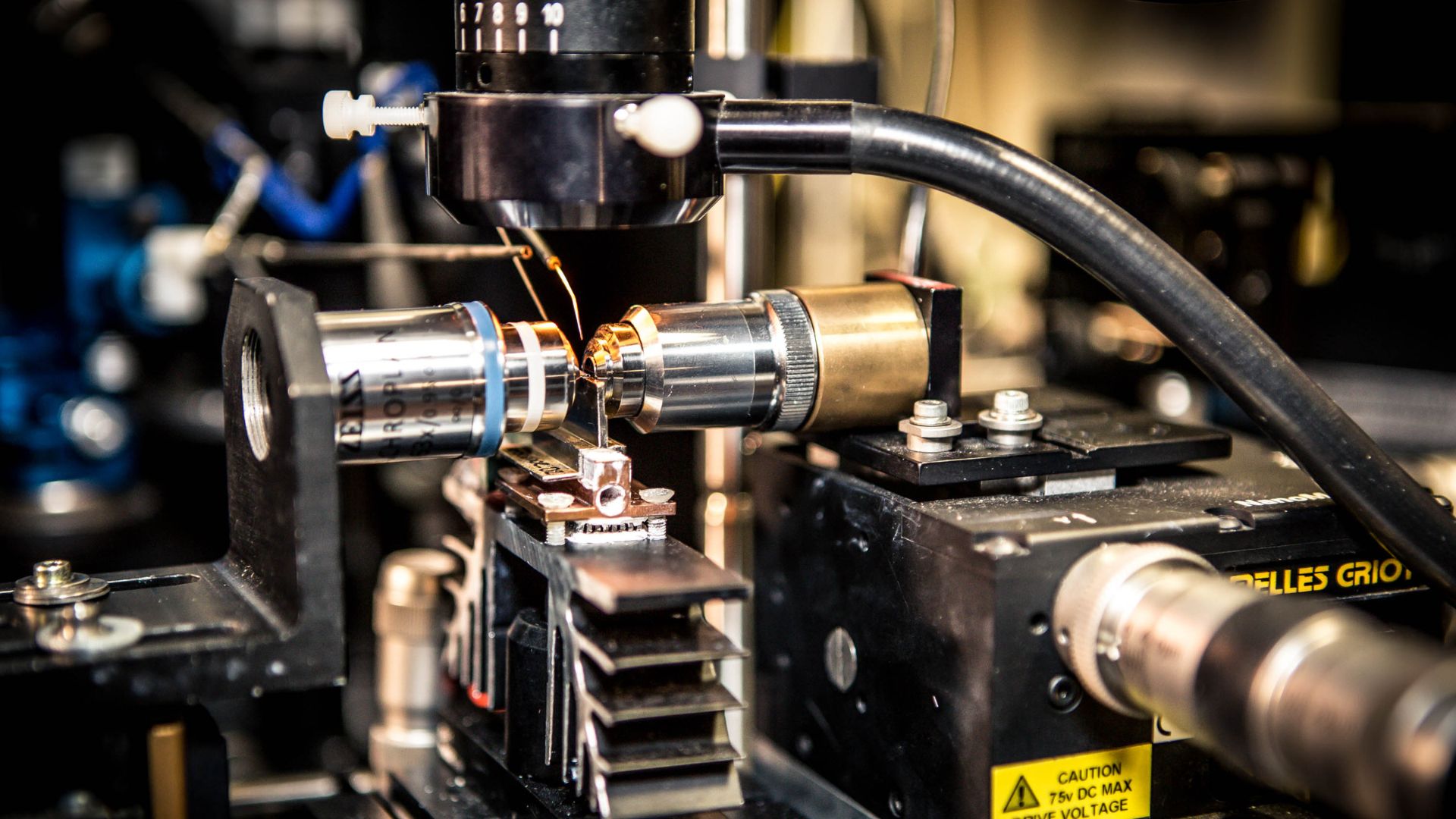 Formation | Université Paris Cité