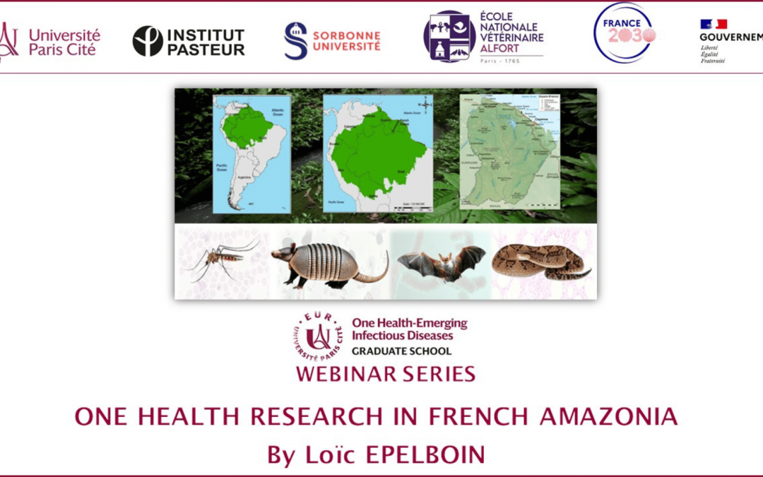 Amazonie, virus et vampires : ce qu’un an de webinaires « One Health -Emerging Infectious Diseases » a révélé au monde
