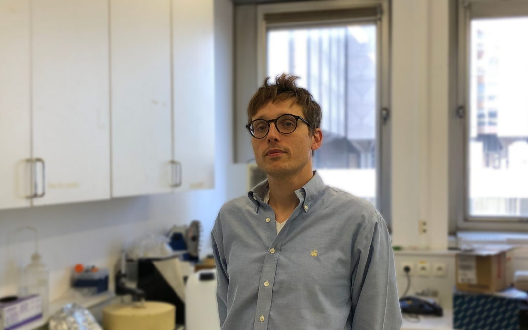 Un prestigieux financement ERC Starting Grants accordé à Infibrosis, un projet qui étudie la maladie rénale chronique